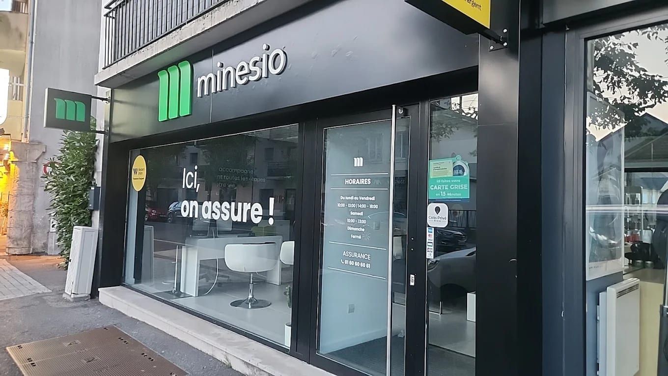 MINESIO, Minesio
